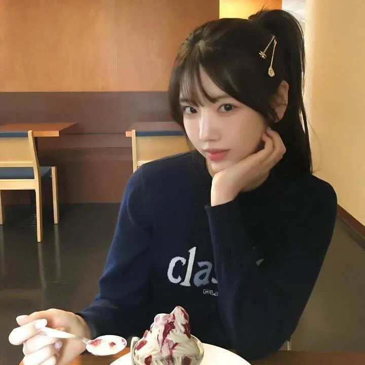 木材宝藏狗